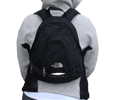 north face pandora mini backpack.